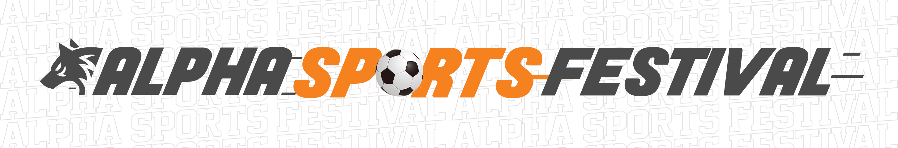 Alpha Sports Festival Banner